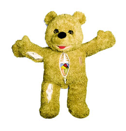 Benny C ʌW(xu)Teddy®